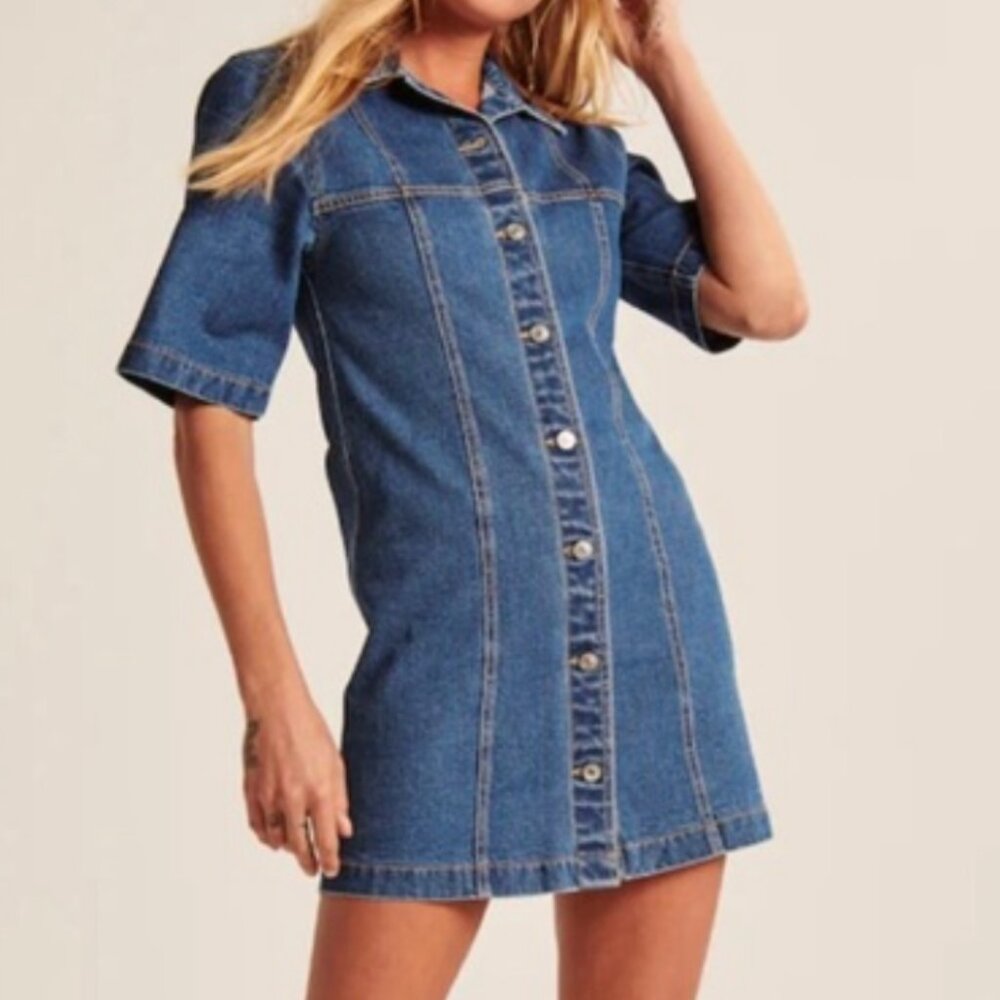 Abercrombie Button-Up Collared Denim Dress